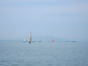 IMG_1242.jpg