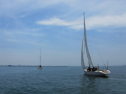 IMG_1245.jpg