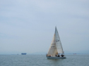 IMG_1246.jpg