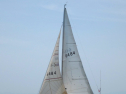 IMG_1247.jpg