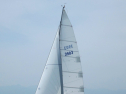 IMG_1252.jpg