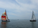 IMG_1253.jpg