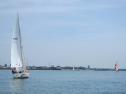 IMG_1260.jpg