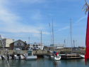 IMG_1262.jpg