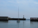 IMG_1264.jpg
