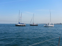 IMG_1476.jpg