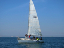 IMG_1482.jpg