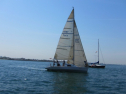 IMG_1485.jpg