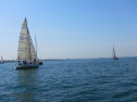 IMG_1486.jpg