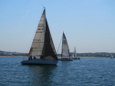 IMG_1496.jpg