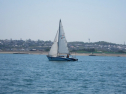 IMG_1497.jpg