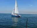 IMG_1499.jpg