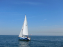 IMG_1500.jpg