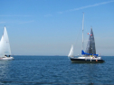 IMG_1503.jpg