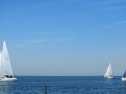 IMG_1504.jpg
