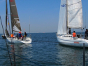 IMG_1513.jpg