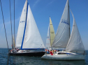 IMG_1519.jpg