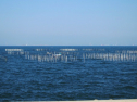 IMG_1000.jpg