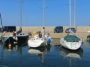 IMG_1040.jpg