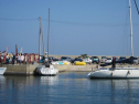 IMG_1064.jpg