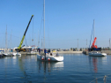 IMG_1096.jpg