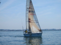 IMG_1134.jpg