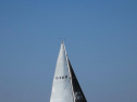IMG_1141.jpg