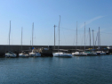 IMG_1149.jpg