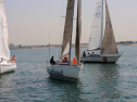 20110515-_D3C0006.jpg