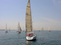 20110515-_D3C0007.jpg