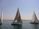 20110515-_D3C0008.jpg
