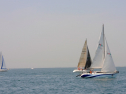 20110515-_D3C0034.jpg