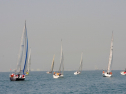 20110515-_D3C0044.jpg