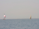20110515-_D3C0047.jpg