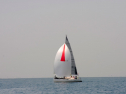 20110515-_D3C0049.jpg