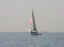 20110515-_D3C0051.jpg