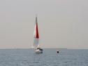 20110515-_D3C0052.jpg