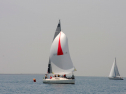20110515-_D3C0054.jpg