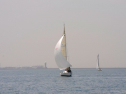 20110515-_D3C0064.jpg