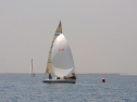 20110515-_D3C0065.jpg