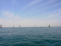 20110515-_D3C0067.jpg