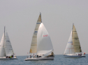 20110515-_D3C0068.jpg