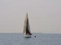 20110515-_D3C0070.jpg