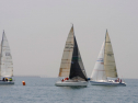 20110515-_D3C0072.jpg