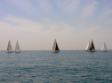 20110515-_D3C0073.jpg