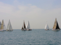 20110515-_D3C0075.jpg