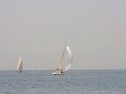 20110515-_D3C0081.jpg