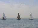 20110515-_D3C0082.jpg