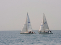 20110515-_D3C0085.jpg