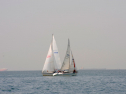 20110515-_D3C0092.jpg